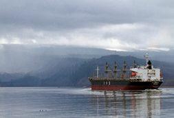 A container ship sailing up the Columbia river with rain clouds in behind it.