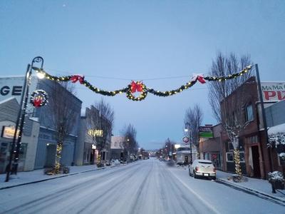 December 2021 Snow falling on Davidson Avenue