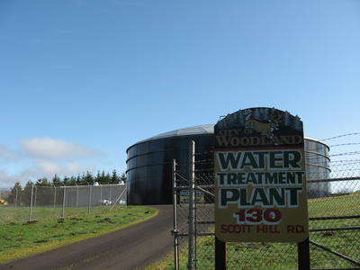 Water Plant