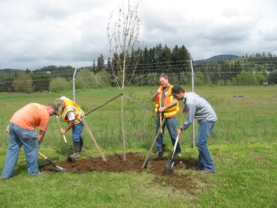 Tree Planting