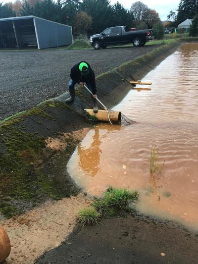 Cleaning lines