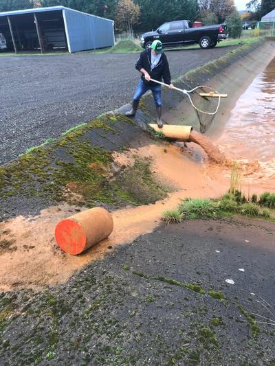 Cleaning Lines